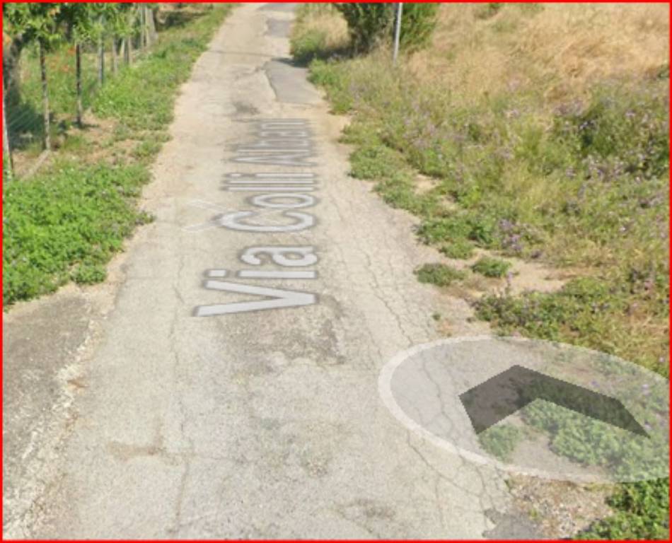 immagine annuncio 11 di 14