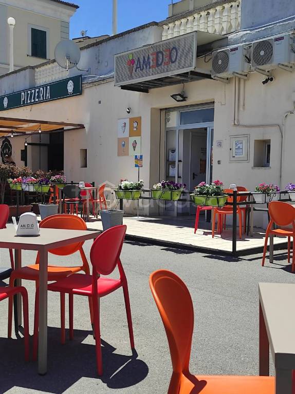 immagine annuncio 2 di 9