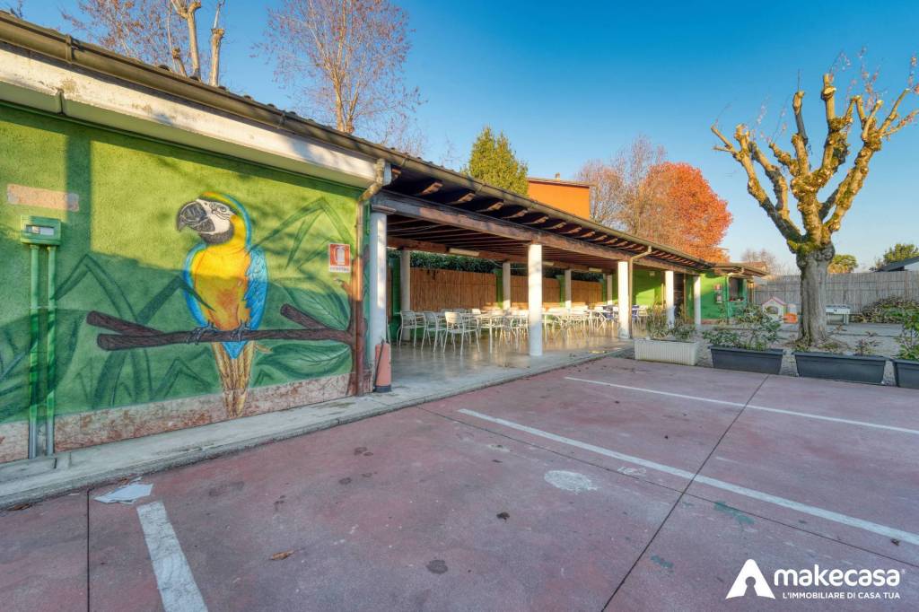 immagine annuncio 12 di 15