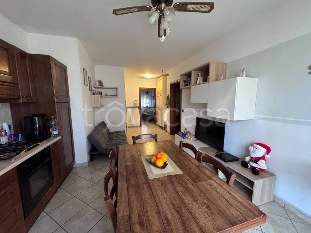 immagine annuncio 8 di 14