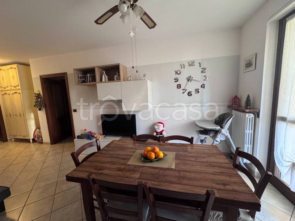 immagine annuncio 7 di 14