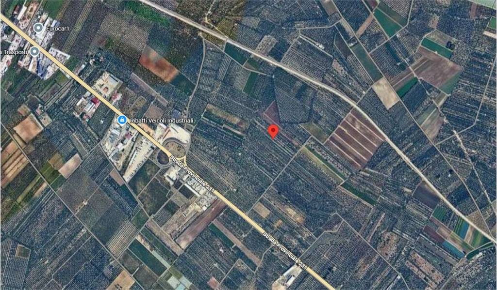 immagine annuncio 4 di 10