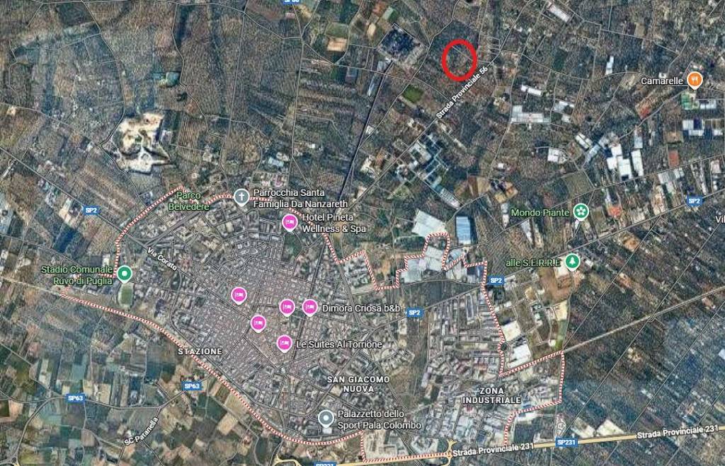 immagine annuncio 11 di 15