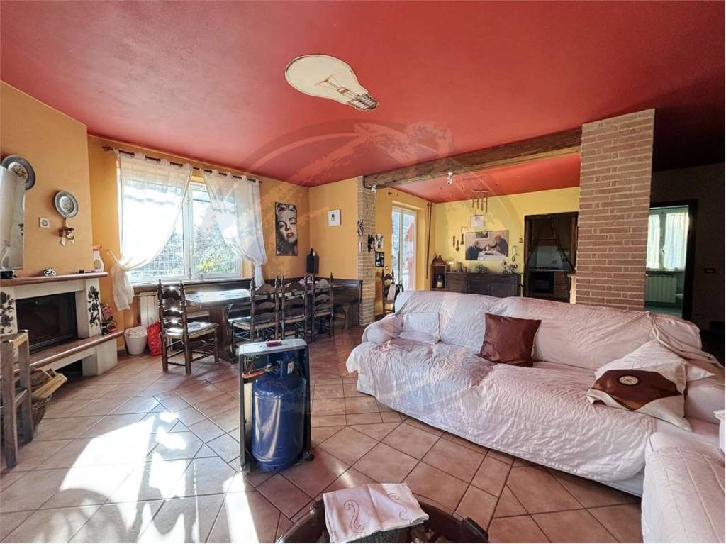 immagine annuncio 6 di 15