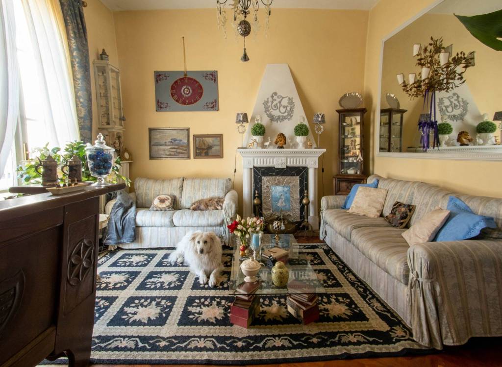 immagine annuncio 1 di 11