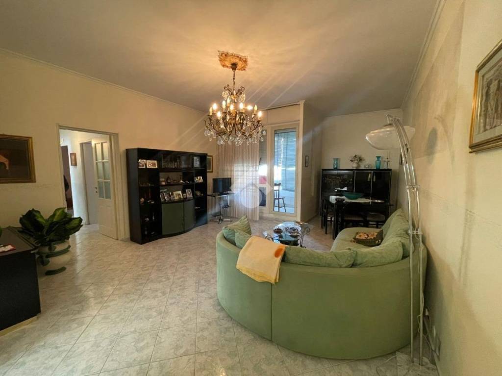 immagine annuncio 1 di 14