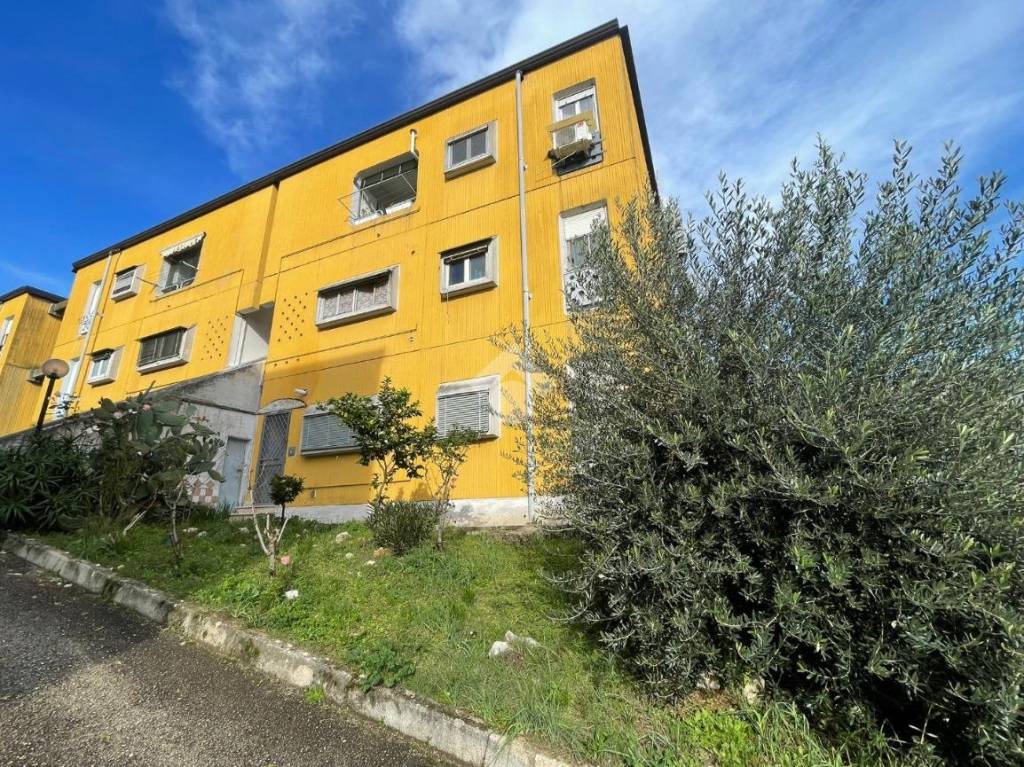 immagine annuncio 10 di 13