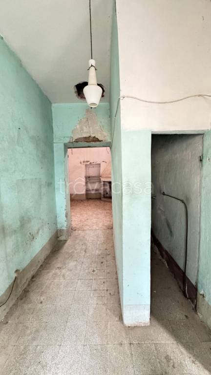 immagine annuncio 11 di 14