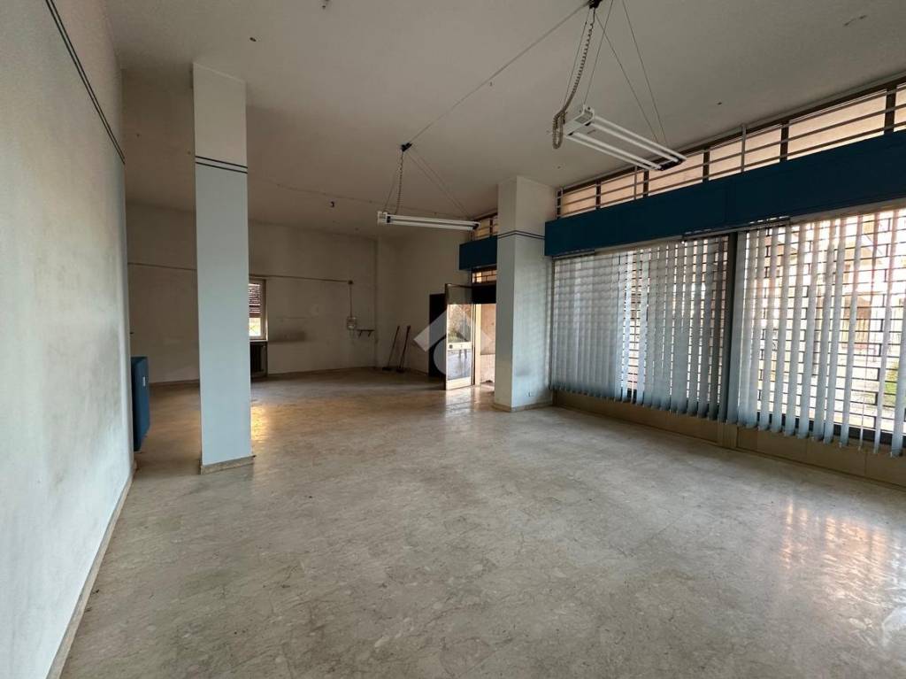 immagine annuncio 5 di 11