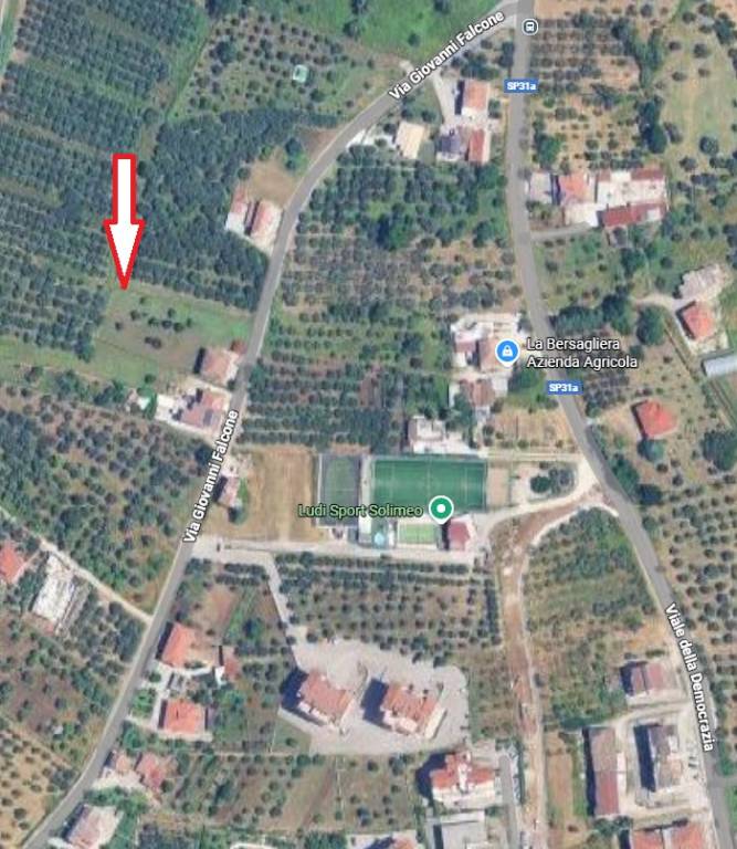 immagine annuncio 2 di 6