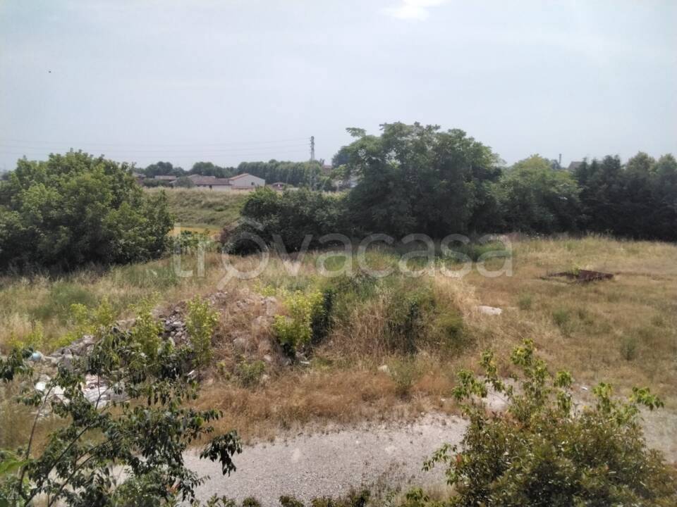 immagine annuncio 2 di 9