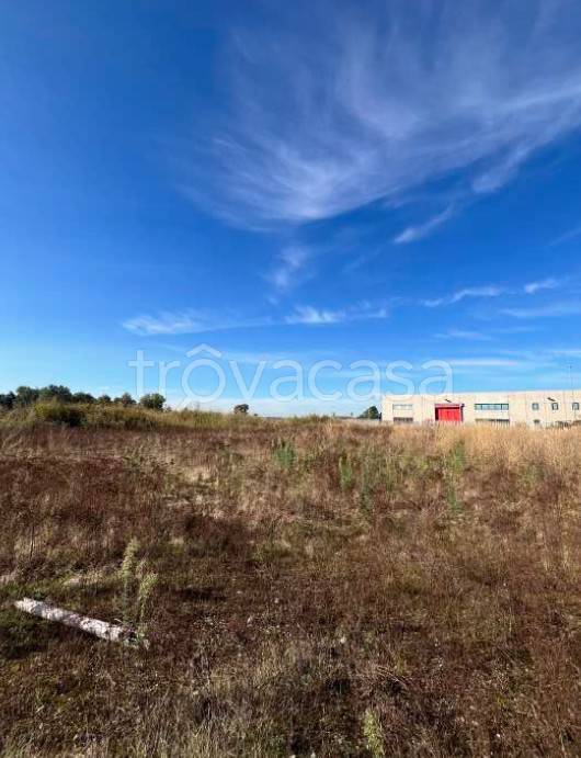 immagine annuncio 2 di 6