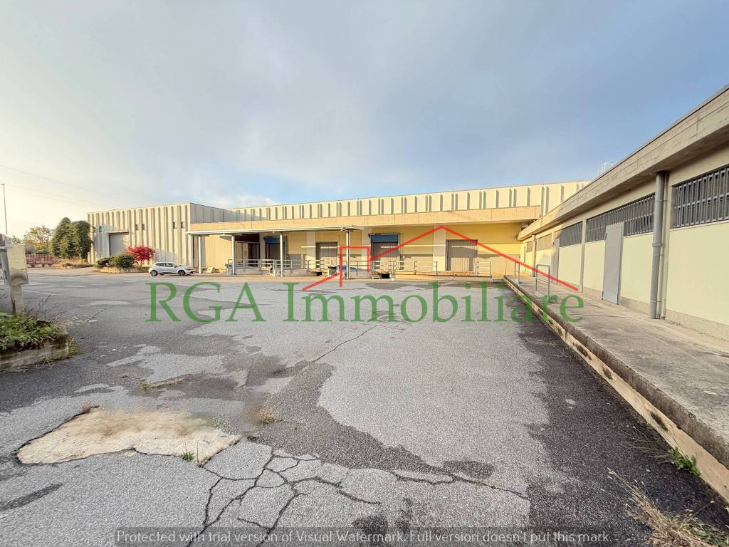 immagine annuncio 13 di 15