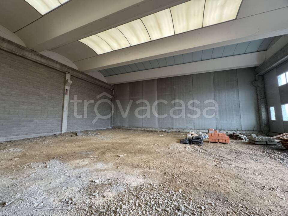 immagine annuncio 1 di 8