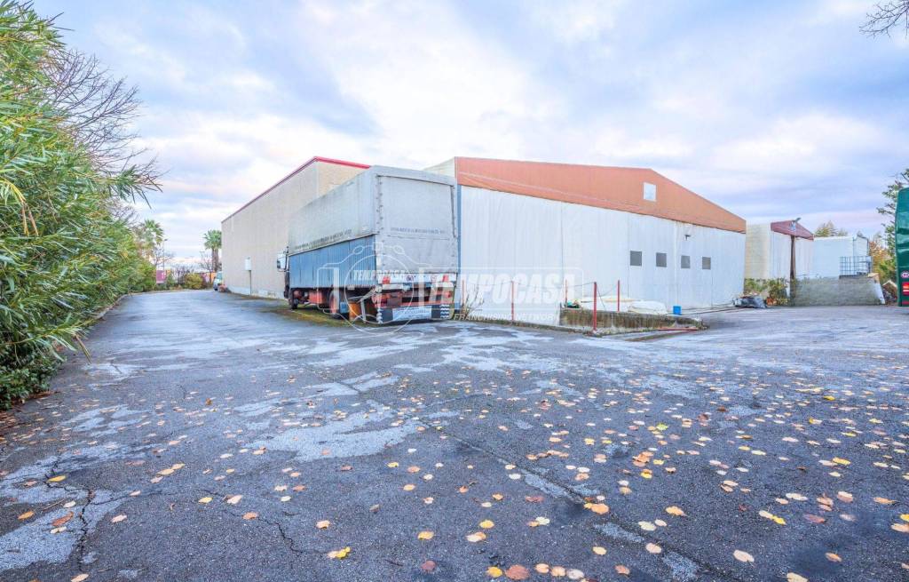 immagine annuncio 4 di 10