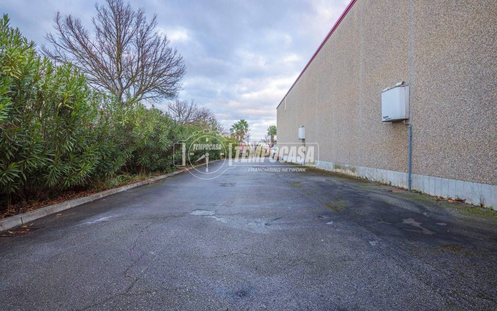 immagine annuncio 6 di 10