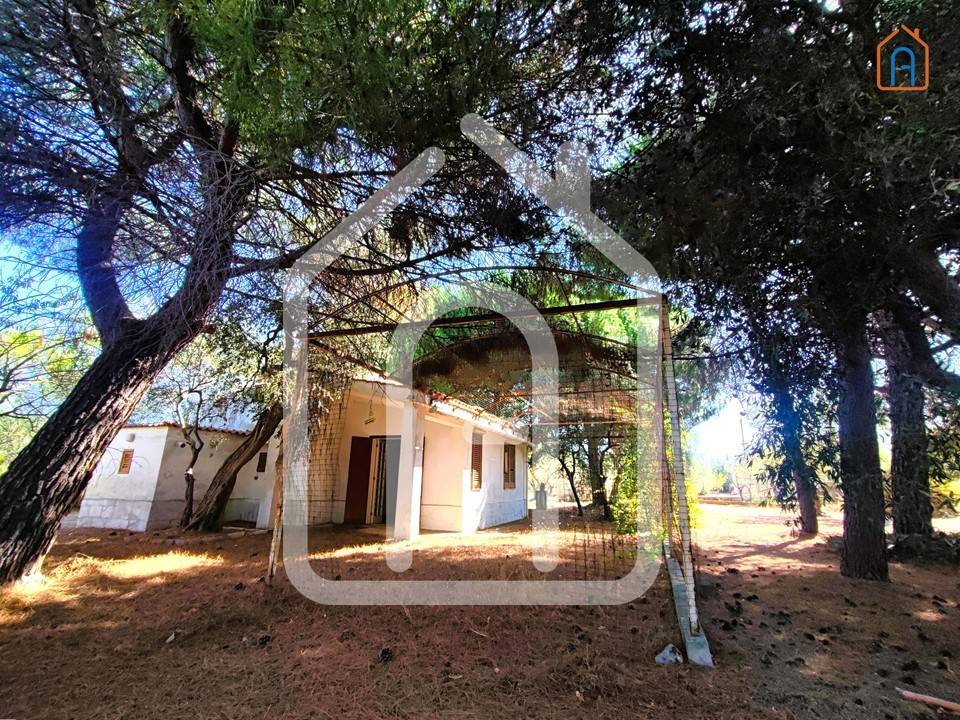 immagine annuncio 1 di 6