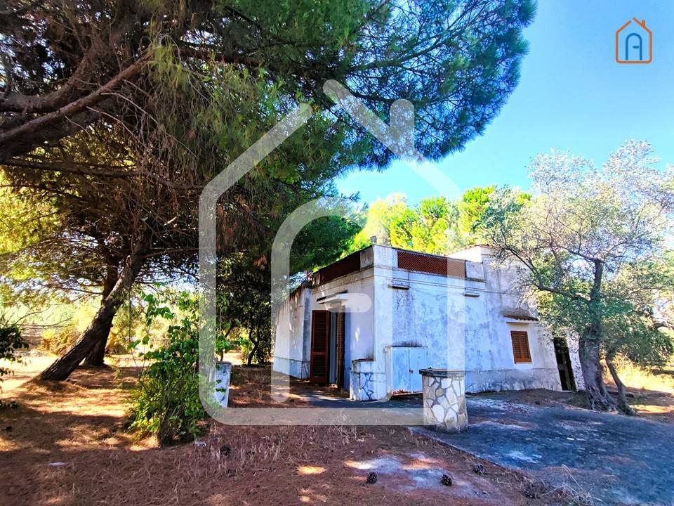 immagine annuncio 2 di 6