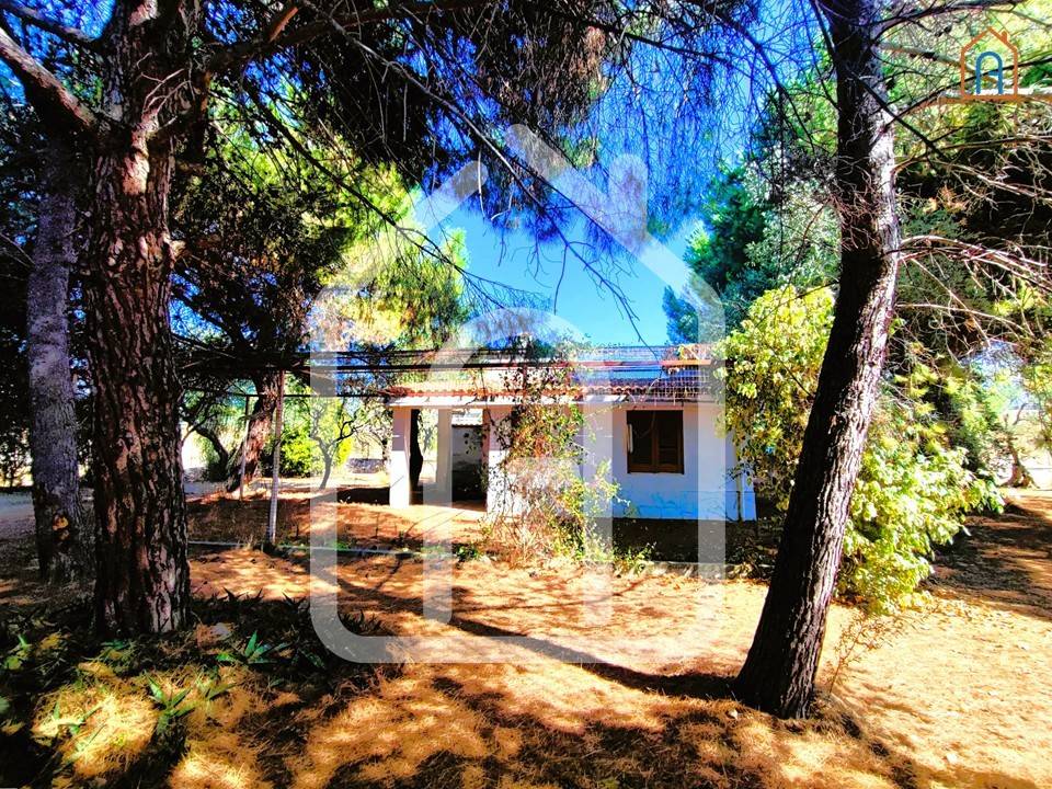 immagine annuncio 3 di 6