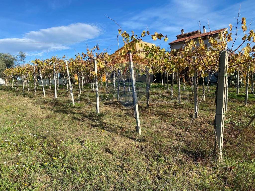 immagine annuncio 2 di 7