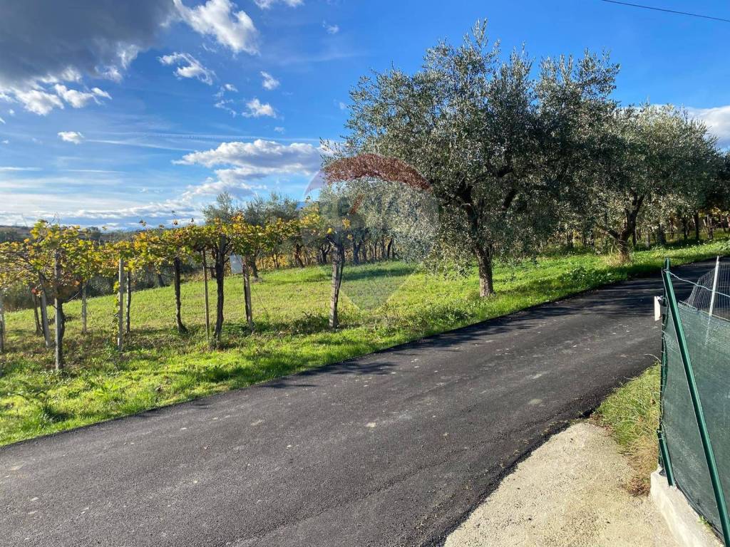 immagine annuncio 3 di 7