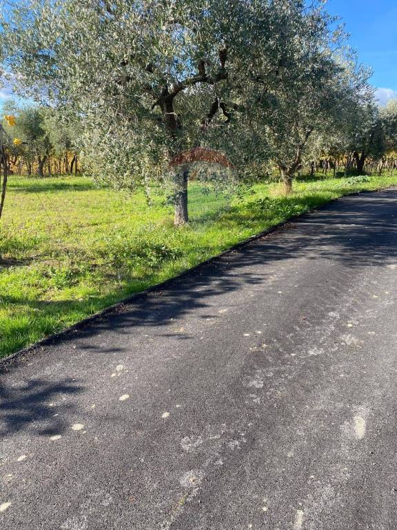 immagine annuncio 4 di 7