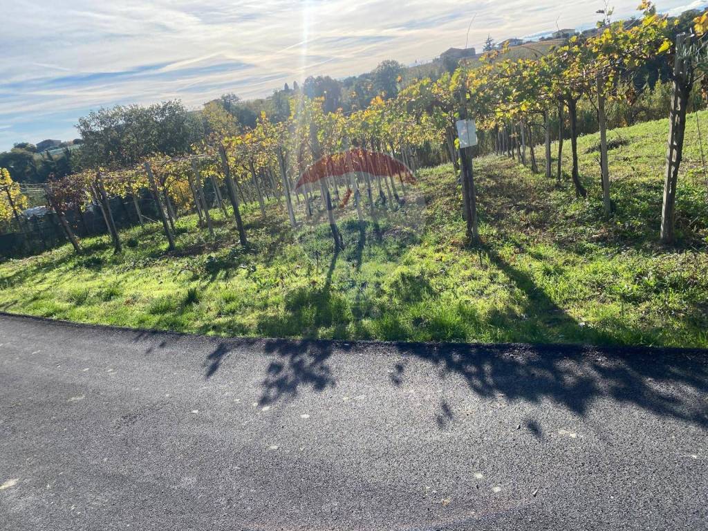 immagine annuncio 6 di 7