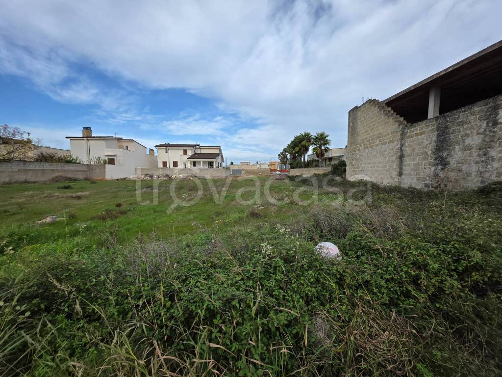 immagine annuncio 6 di 8