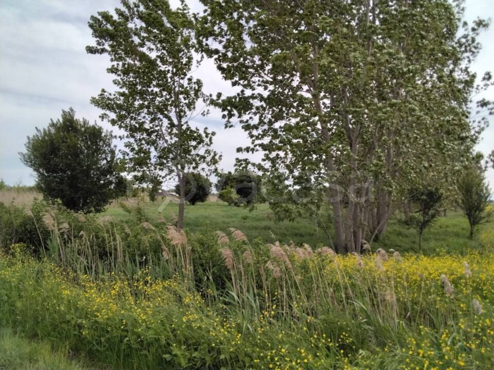 immagine annuncio 4 di 13