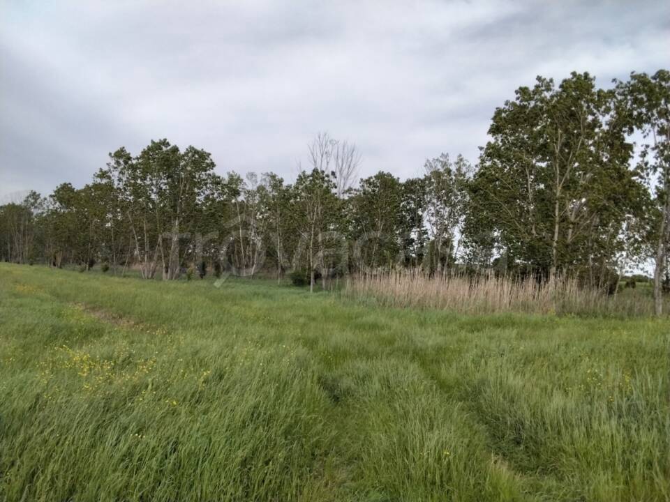 immagine annuncio 7 di 13