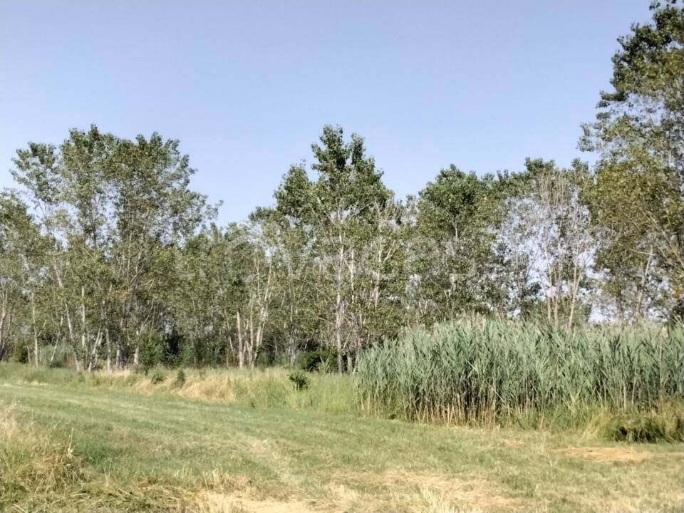 immagine annuncio 8 di 13