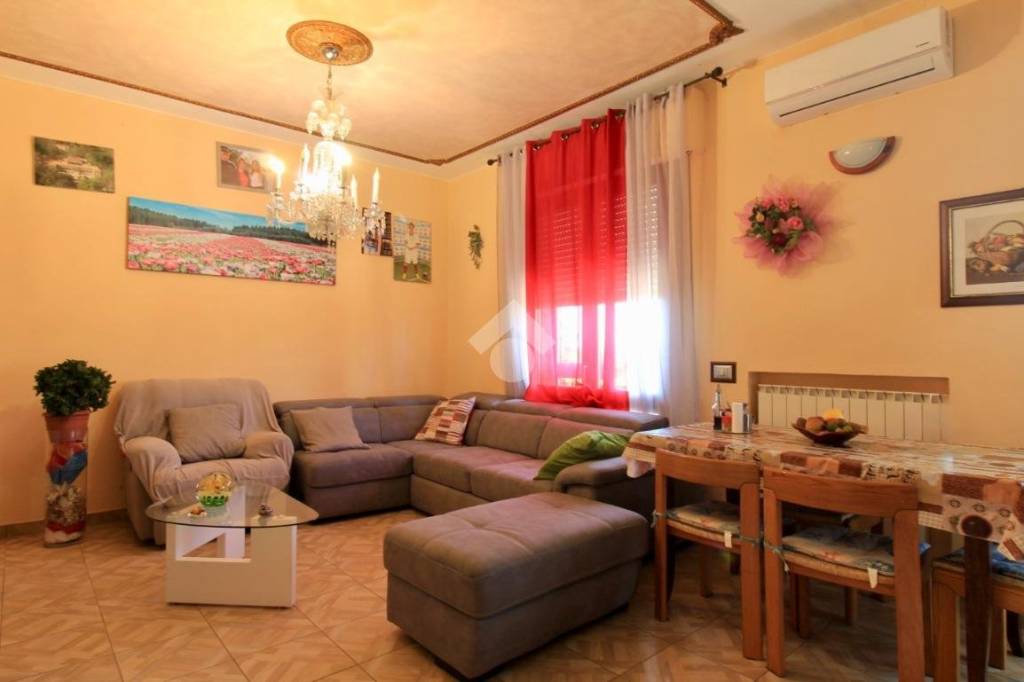 immagine annuncio 3 di 14