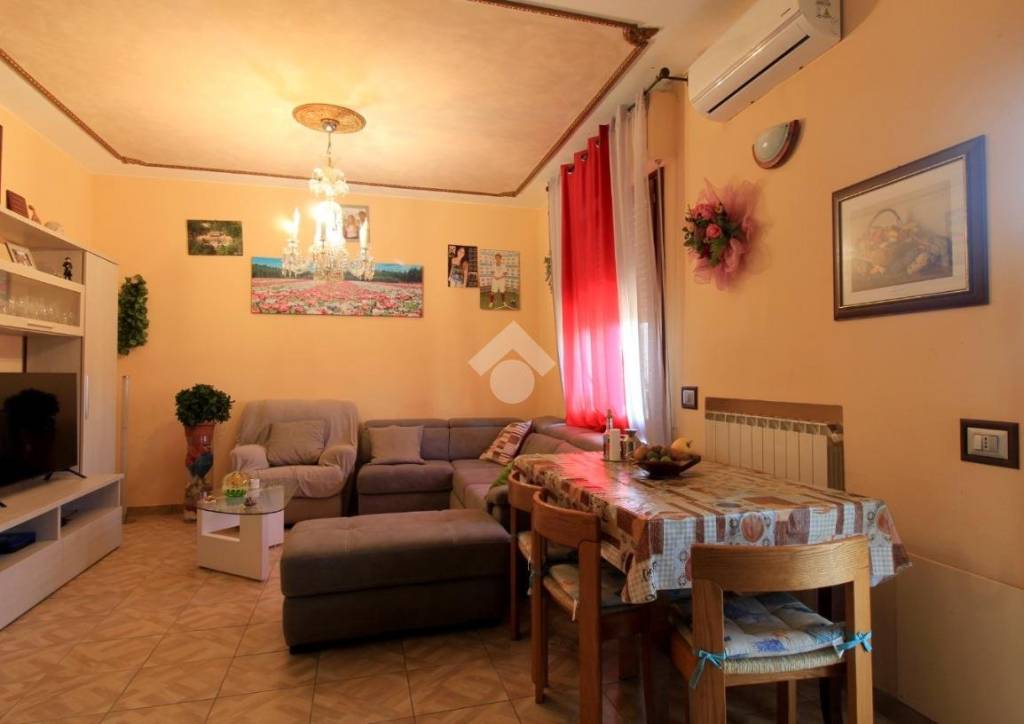 immagine annuncio 5 di 14