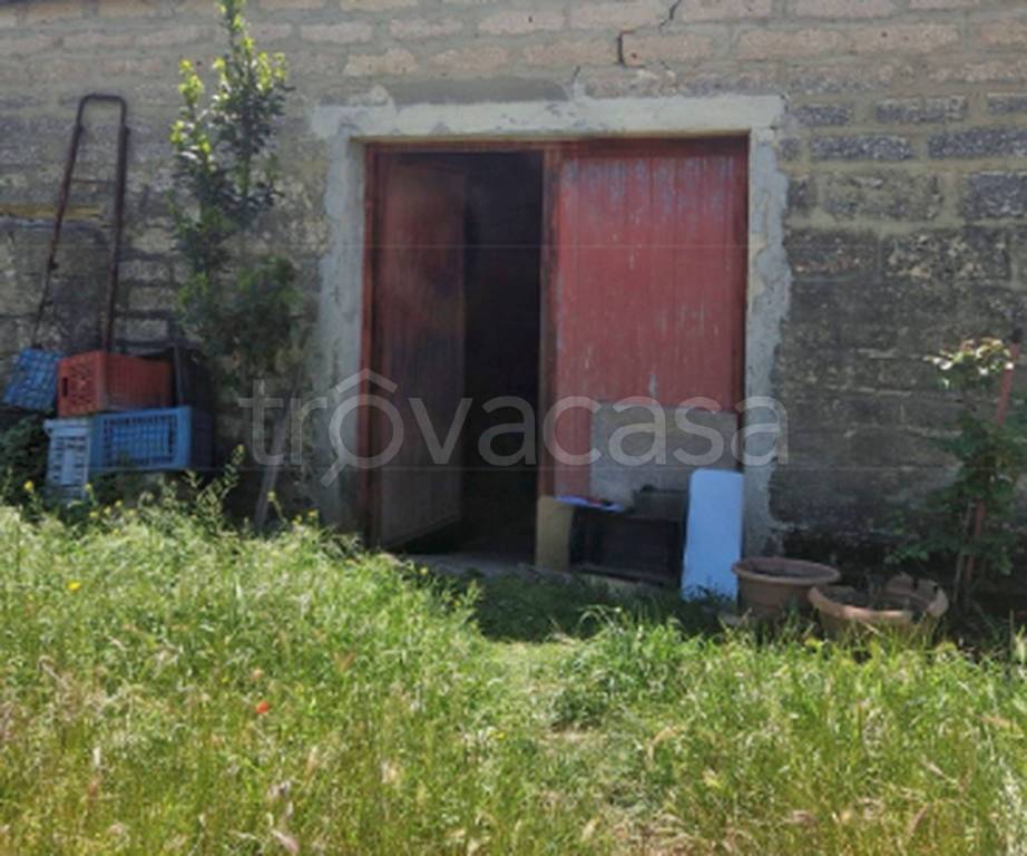 immagine annuncio 9 di 12