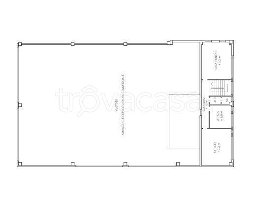 immagine annuncio 12 di 13