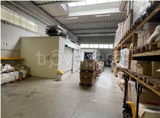 immagine annuncio 4 di 13