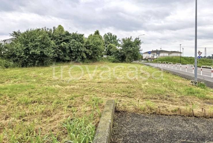 immagine annuncio 3 di 8