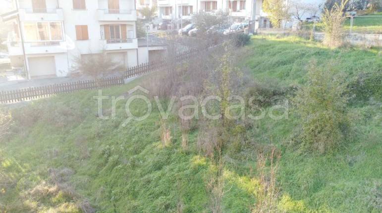 immagine annuncio 5 di 9