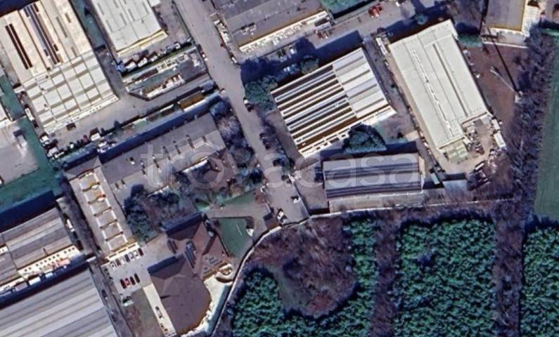 immagine annuncio 5 di 7