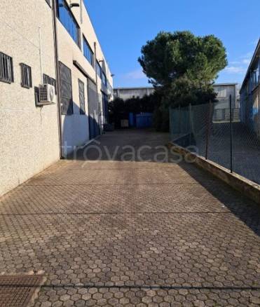 immagine annuncio 1 di 12