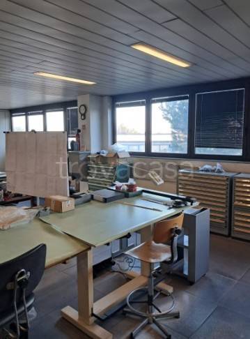 immagine annuncio 4 di 12