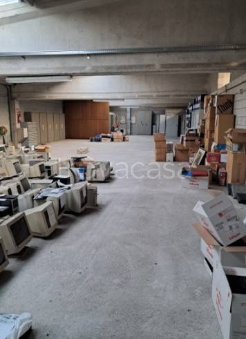 immagine annuncio 6 di 12