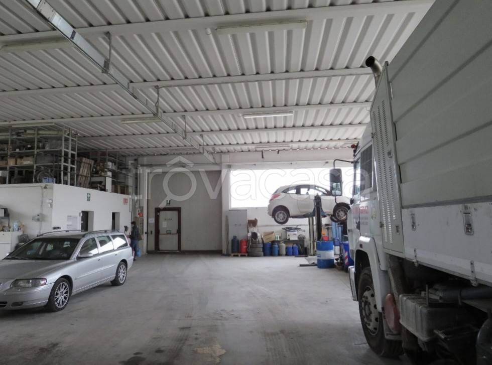 immagine annuncio 9 di 15