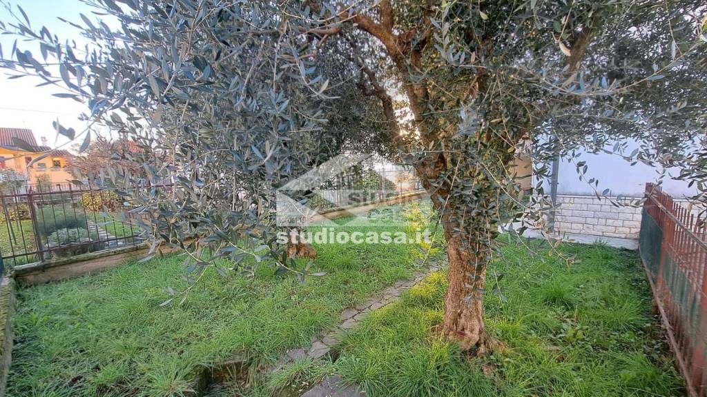 immagine annuncio 7 di 15