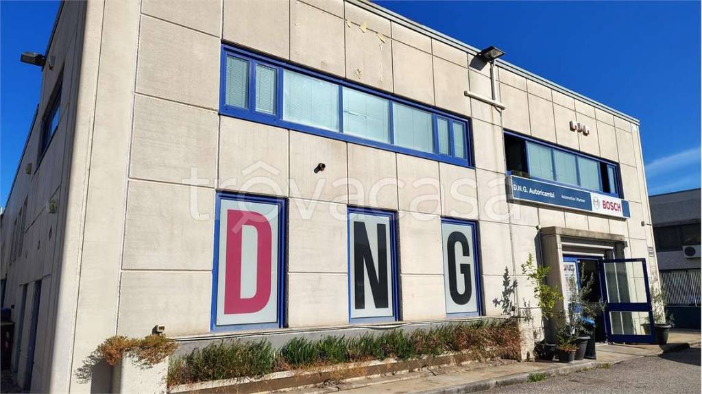 immagine annuncio 1 di 7