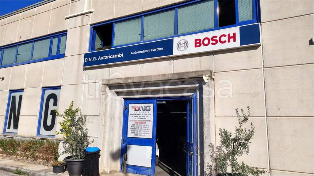 immagine annuncio 2 di 7