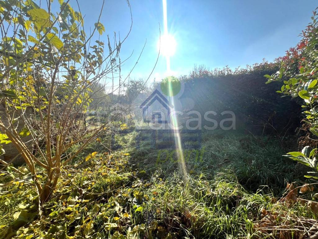 immagine annuncio 9 di 11