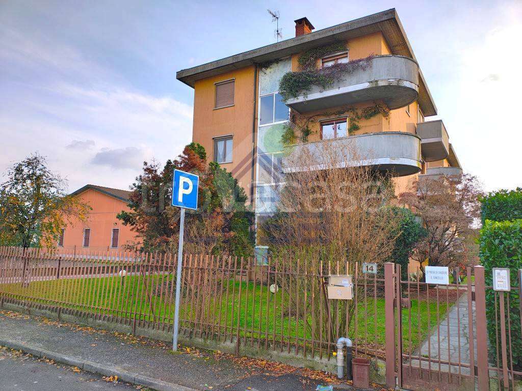 immagine annuncio 1 di 15