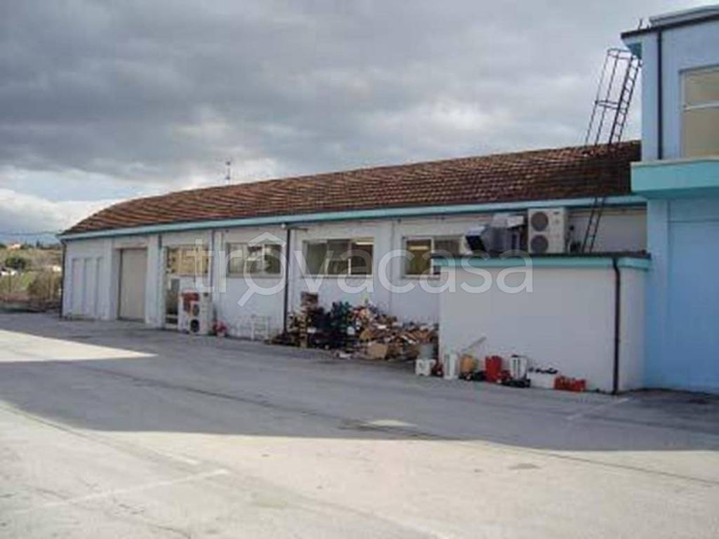 immagine annuncio 5 di 7