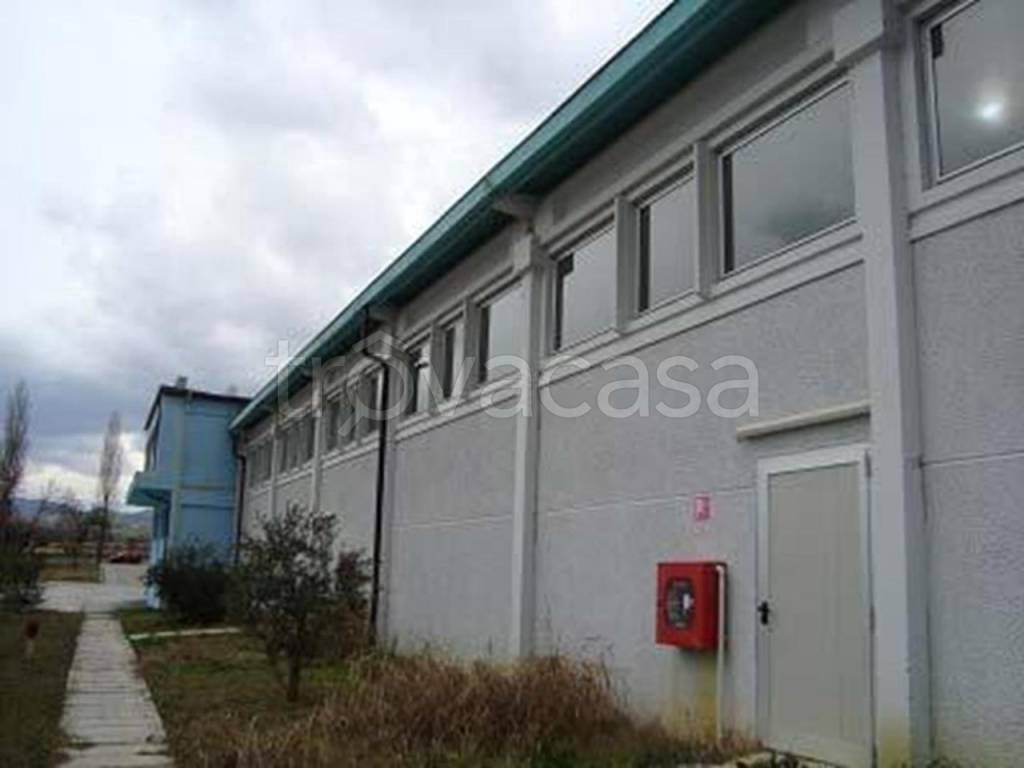 immagine annuncio 6 di 7